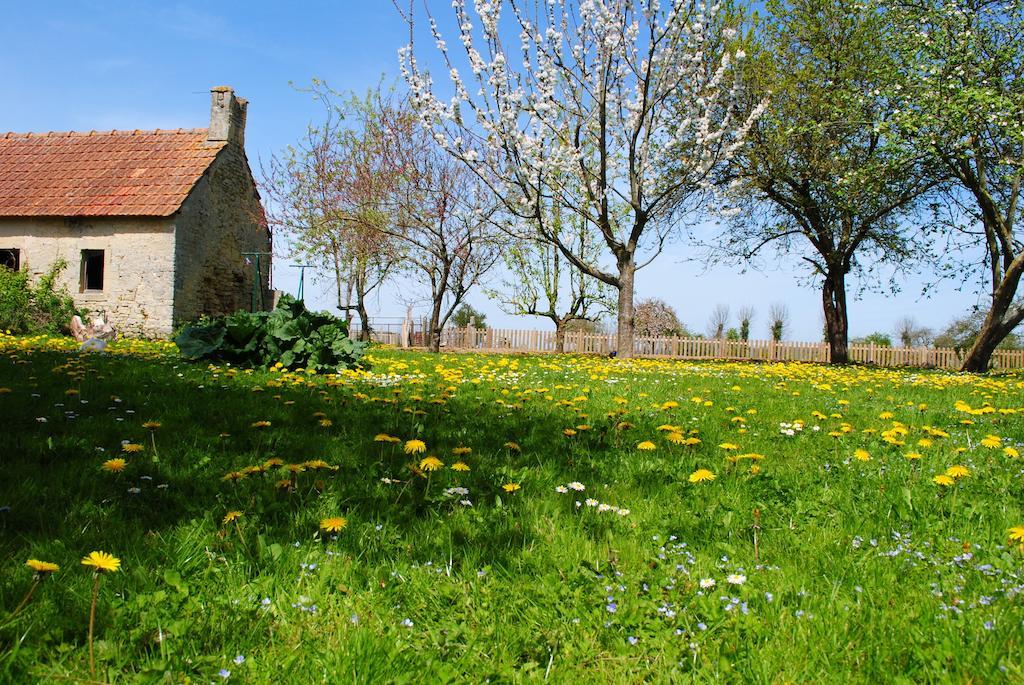 Gites Les Rainettes Vienne-en-Bessin Exterior photo